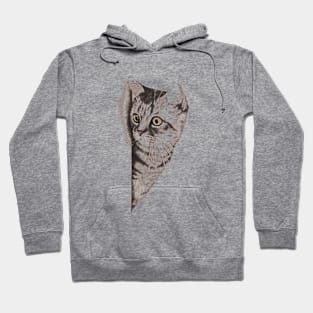 Cat Hoodie